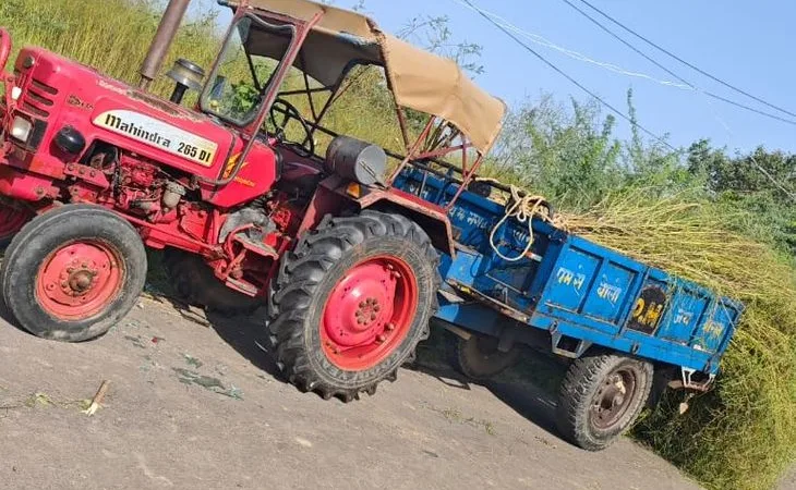 4aaed56b 0cb8 4225 a5a6 fec4ebf800e2 1758439802624.jpg