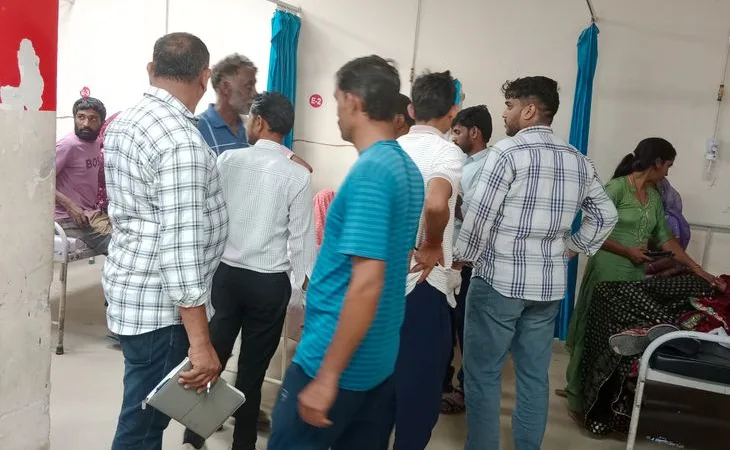 79ca0f63 f4b6 456e bf2f 4042897e9011 1758884476234.jpg