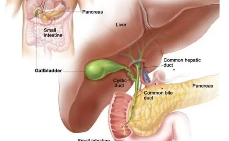 a1d8f0aa 9672 4920 afe1 0f0be5895896 1758777656227.jpg