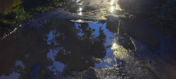 app 175725491868bd95064c166 1003229861.jpg