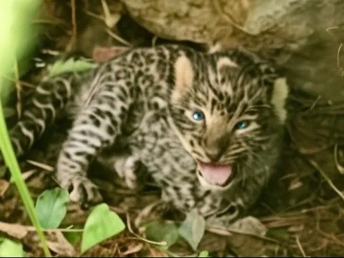 b124b9ee 1b90 4107 ba8f 53b16663f1d01757080719744 1757082155.jpg