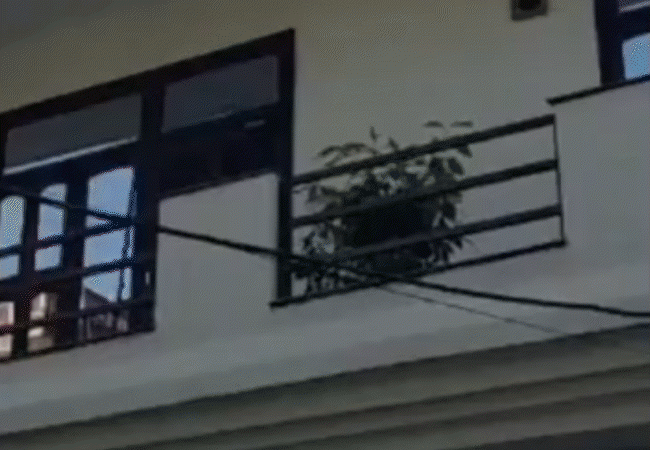 comp 29 1757686657.gif