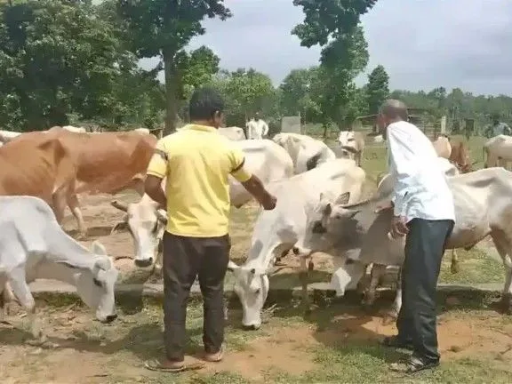 d4e5921f 3346 4d5e b68e 7f3fa033a9b4 1758182827693.jpg