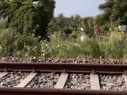 ezgif 1f1bf847ec4316 1758012507.gif