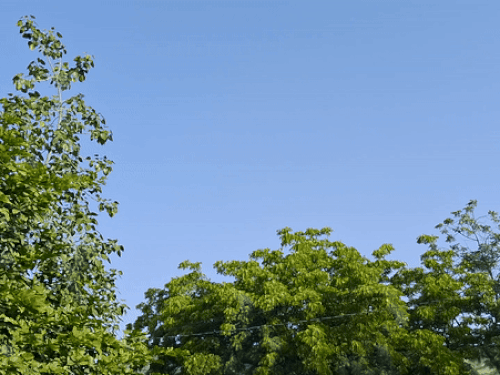 ezgif 3 ea6fbf58701744947834 1757515727.gif