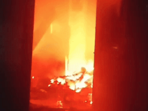 ezgifcom animated gif maker 11 1759205229.gif