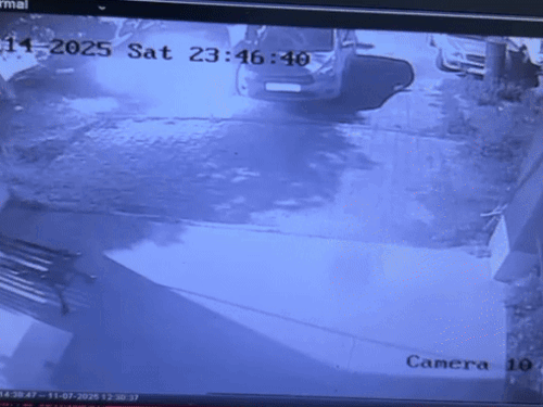 ezgifcom resize 2025 09 16t172949194 1758024074.gif