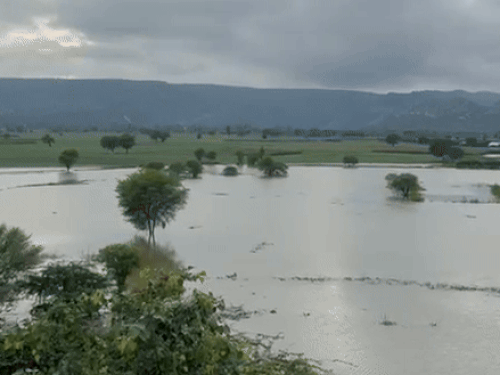 ezgifcom resize 1756919570.gif