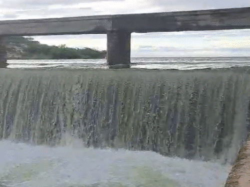 gif 14 2 1757240957.gif