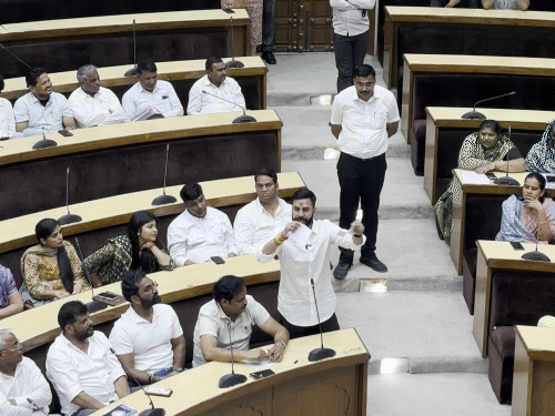 gif 4 1758879912.gif