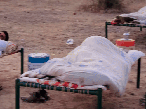 img1436 ezgifcom resize 1759205535.gif