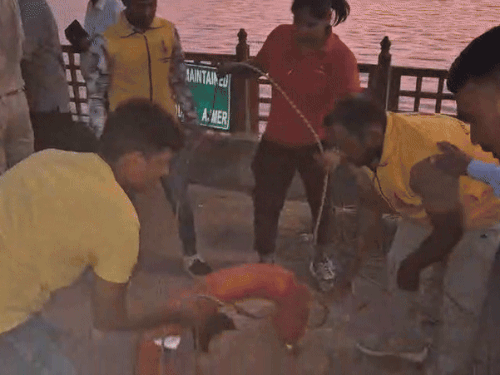 img4258 1758207110.gif