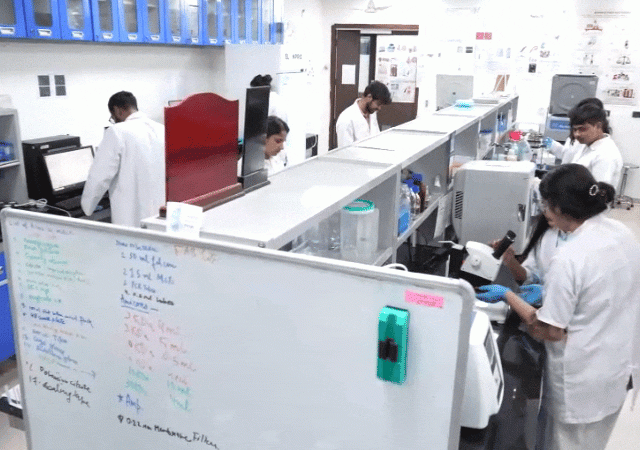 inshot20250916153030381 1758020149.gif