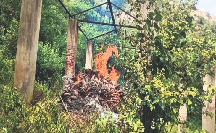 orig 1 1 1 1 1 1 1 1 1 1 1 1 1 1 1 1 1 1 1 1 1 1 1 1 1 1758069544.jpg