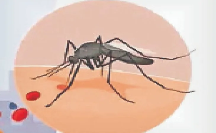 orig 10 1 1 1 1 1 1 1 1 1 1 1756944016.jpg