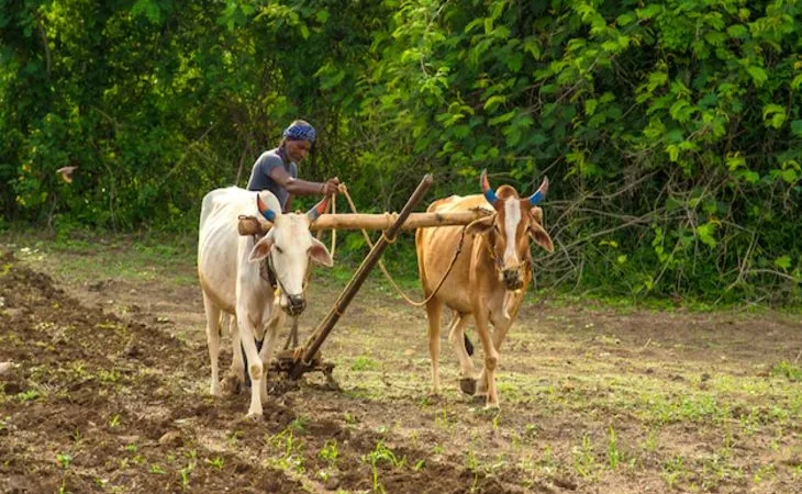 orig 2 1 1 1 1 1 1 1758933609.jpg