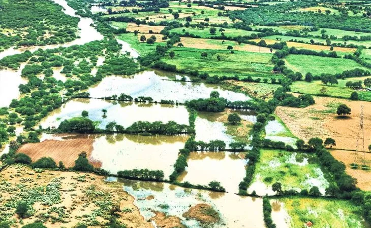 orig 29 1 1 1 1 1 1 1 1 1 1 1 1757204514.jpg