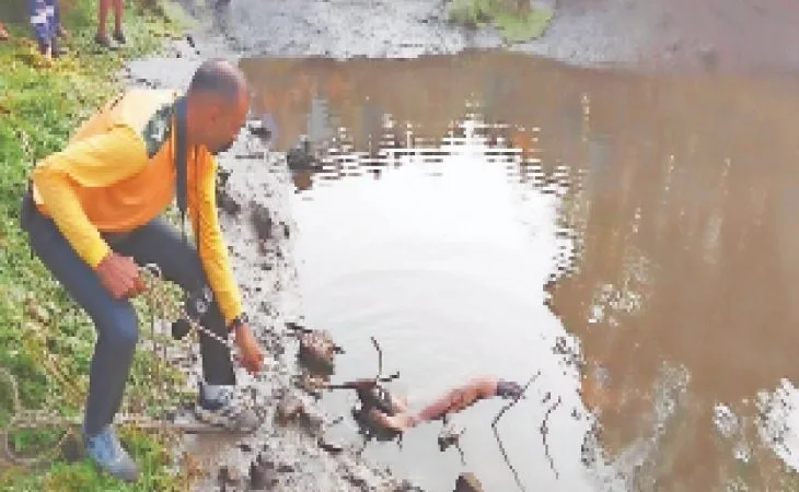 orig 38 1 1 1 1 1 1757894328.jpg