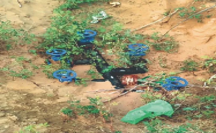 orig 56 1 1 1 1 1 1 1 1 1 1 1 1 1 1 1 1 1 1 1 1 1 1 1 1 1759189357.jpg