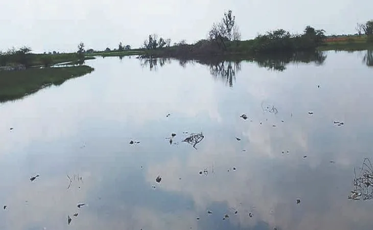 orig 56 1 1 1 1759017654.jpg