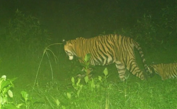 whatsapp image 2025 09 16 at 104528 am 1758001706.jpeg