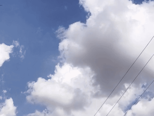 whatsappvideo2025 08 20at170130 ezgifcom resize 1756949788.gif