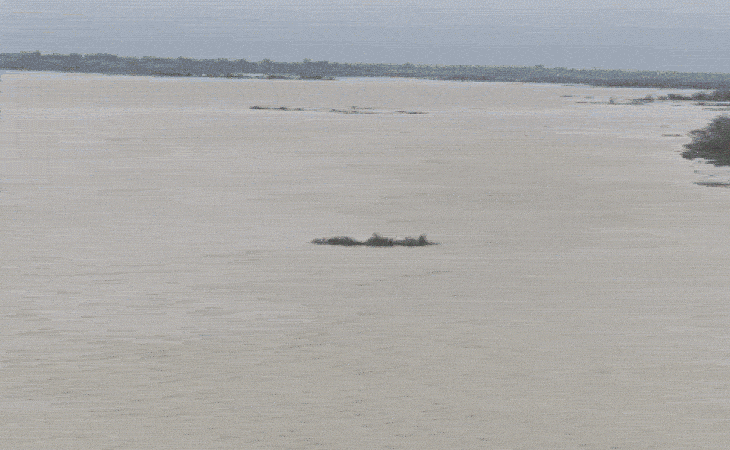 whatsappvideo2025 09 09at11 1757396286679 1757396338.gif