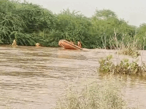 whatsappvideo2025 09 11at0927084bc806c7 ezgifcom r 1757564239.gif