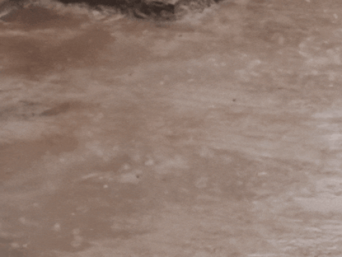 1000243733 1759714121.gif