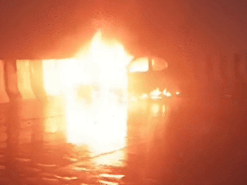 1001736172 1759833067.gif