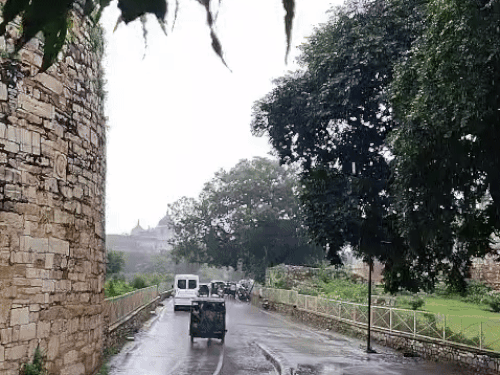 1004404291 1759724379.gif