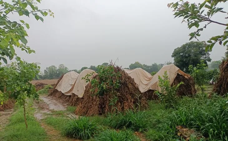 b3b74934 da63 4fc9 a7a1 aafa96d72d4d 1759725170968.jpg