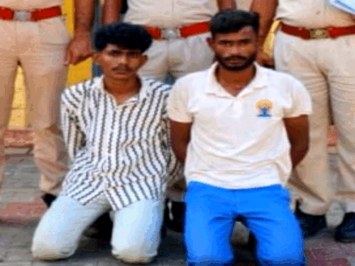 ezgifcom resize 32 1759302871.gif