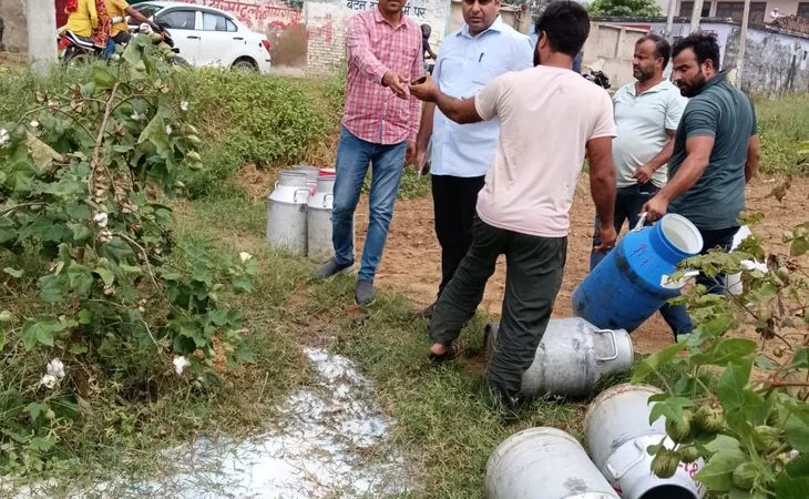 f81dc170 d5cd 417e 9caa 85571b2906df 1759914715569.jpg