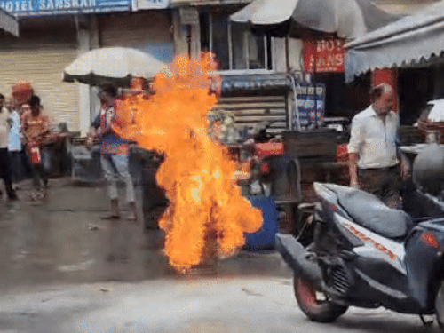 img5499 1759742912.gif