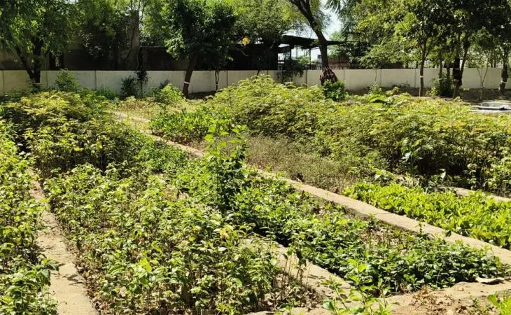 orig 1 1 1 1 1 1 1 1 1 1 1 1 1 1 1 1 1 1 1 1759709944.jpg