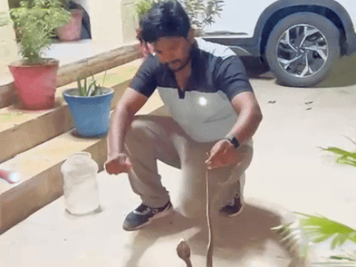 whatsappvideo2025 10 01at214703 ezgifcom resize 1 1759465991.gif